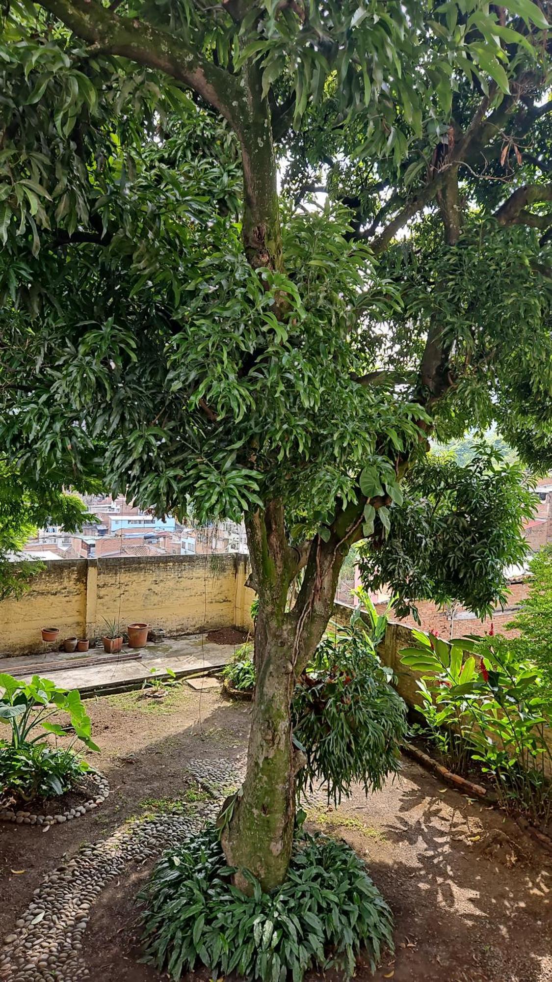 Casa Alba Otel Cali Dış mekan fotoğraf